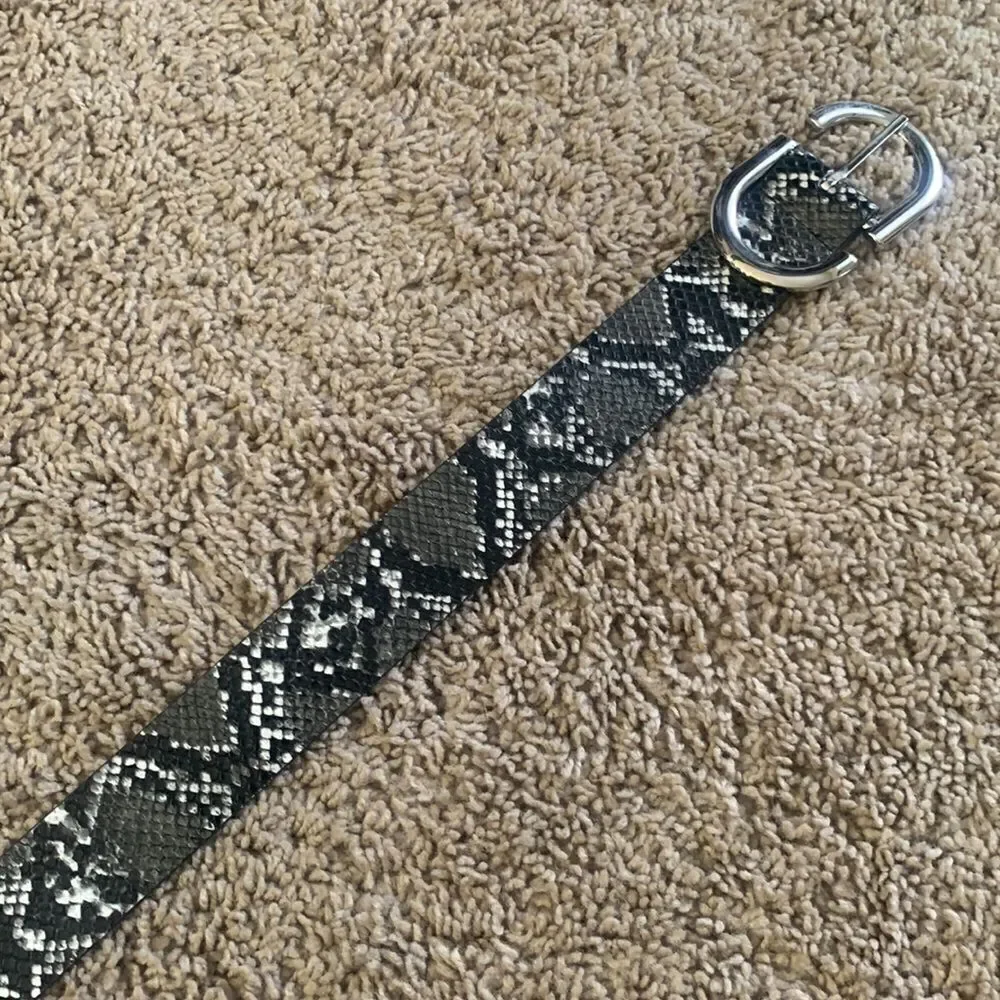 Grey Snakeskin Looking Belt
